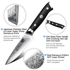 Kitchen Knife Damascus Steel Paring Knife 3.5 inch Small